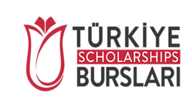 türkiyə bursları