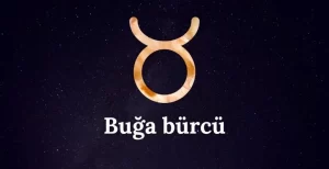 Buğa : Xüsusiyyətləri , Həyatı