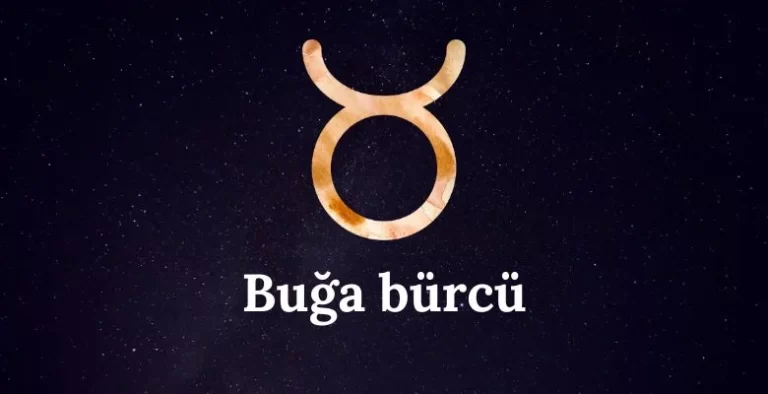 Buğa :  Xüsusiyyətləri , Həyatı