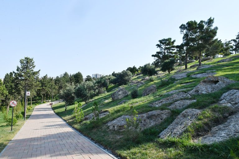Gənclik Parkı: Bakı Şəhərinin Yaşıl Nəfəs Payı