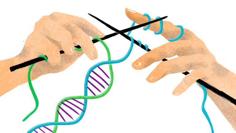 DNT : Genetikadakı Rolu