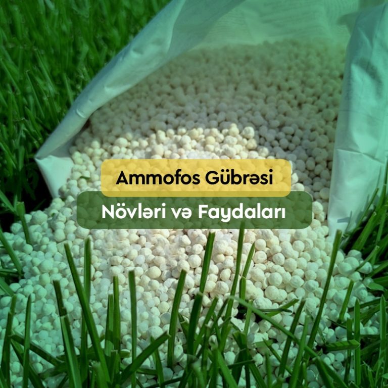 Ammofos Gübrəsi: Tərkibi , Xüsusiyyətləri
