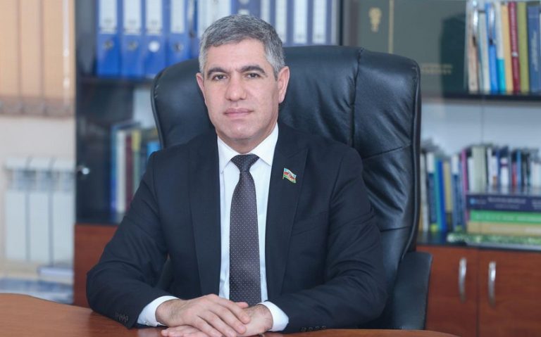 Vüqar Bayramov : Fəaliyyəti, Rolu