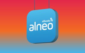 Alneo Ödəniş: Əsas Xüsusiyyətləri, Üstünlükləri