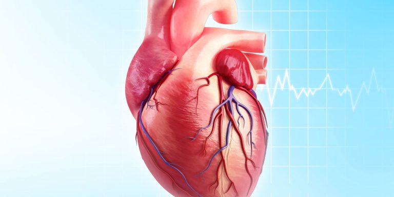 PFO nədir? : Anatomiyası, Müalicəsi