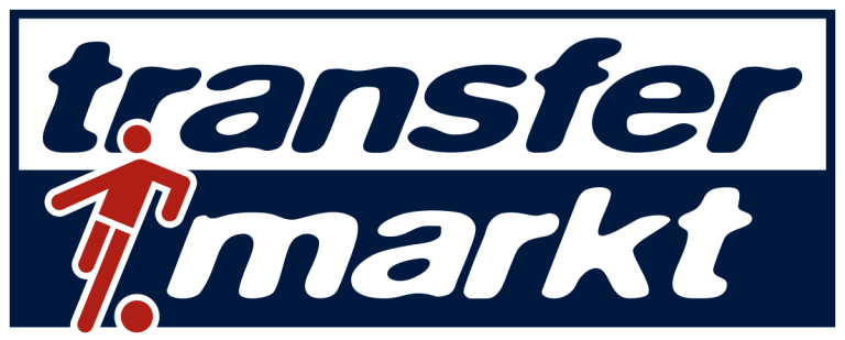Transfermarkt: Futbol Dünyası, Funksiyaları