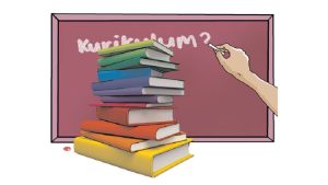 Kurikulum İş Forması: Təhsildə Yanaşmalar, Tətbiq Prinsipləri