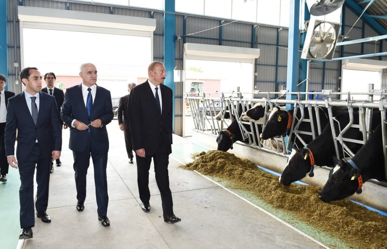Zöhrab Aslanov: Komanda İdarəçiliyi, Kadr Siyasəti
