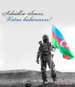 Şəhidlərə Aid Şeirlər: Mənəvi Dəyəri, Milli Qürur