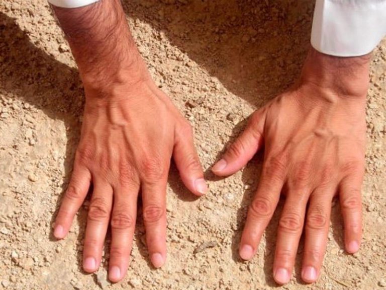Təyəmmüm: Mənası, Fiqhi Əhəmiyyəti
