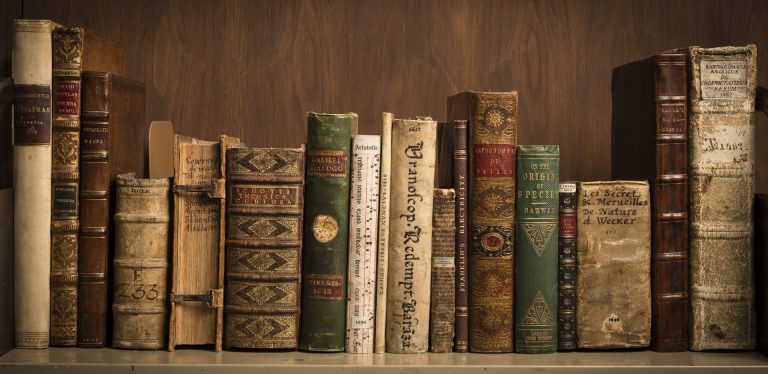Əsasında: Mənası, İstifadə Sahələri, Sözünün konteksti