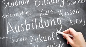 Ausbildung Azərbaycan : Hazırlıq prosesi, Qəbul prosesi