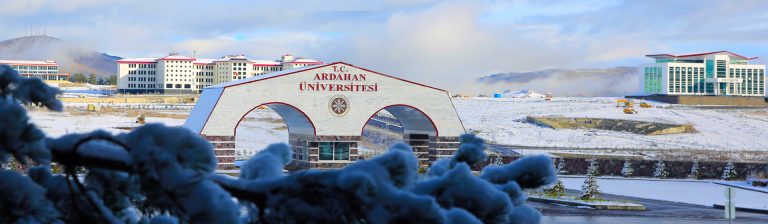 Ardahan Universiteti: Qəbul Qaydaları, Təhsil Haqları-ƏN SON