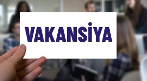 Vakansiya Az : Texniki imkanlar, İstifadə yolları, Tövsiyyələr