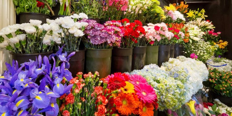 İnci S Bouquet: Məhsulları, Brendinqi, Əlaqə Məlumatları