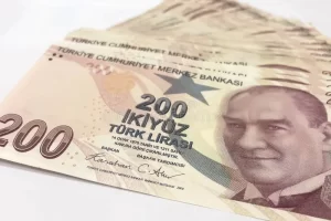 Türk Lirəsi: İqtisadiyyatı, Müasir Rolu