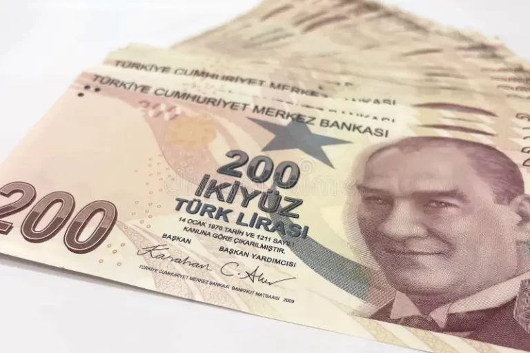 Türk Lirəsi: İqtisadiyyatı, Müasir Rolu