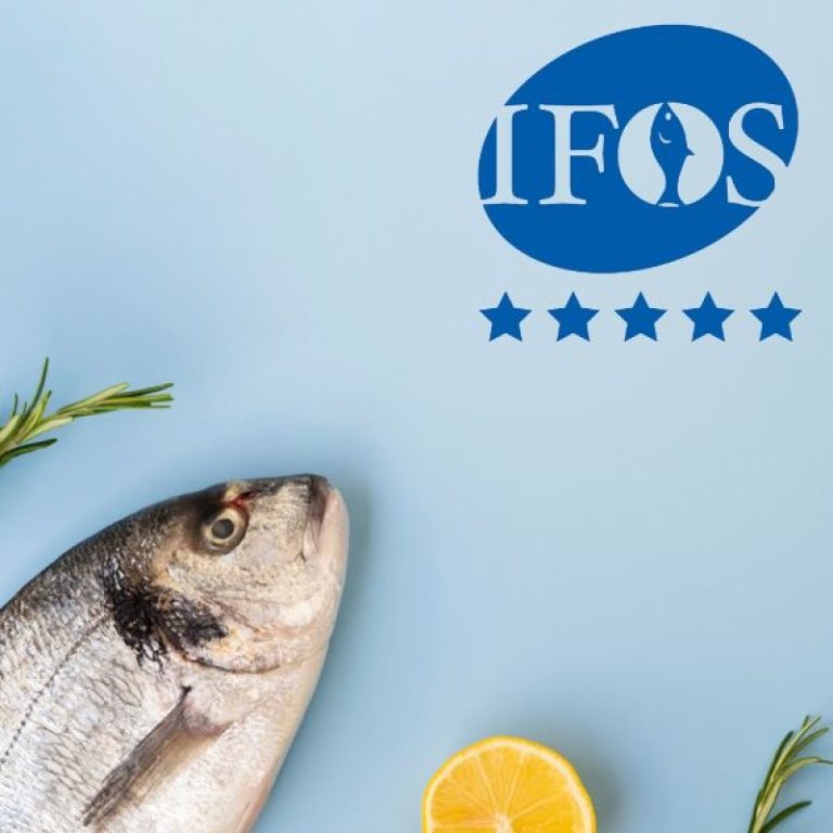 İFOS Sertifikatı : Nədir, Necə Verilir, Nəyə Əsaslanır