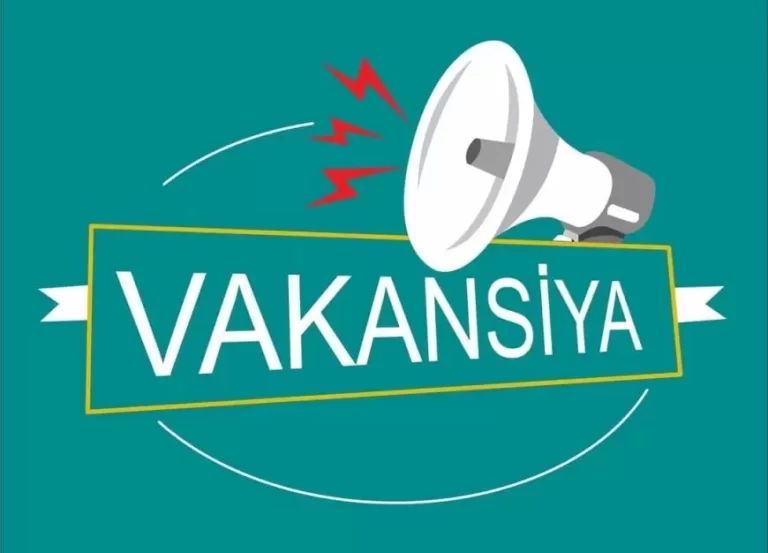 Vakansiya Nədir? Yaradılma prosesi, Seçimlər