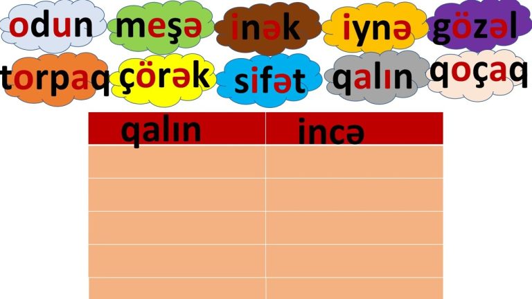İncə Saitlər : Qrammatik , Leksik Rolu