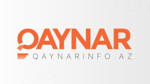 Qaynarinfo : Yaranması, Təşəkkül Mərhələləri, Prinsipləri