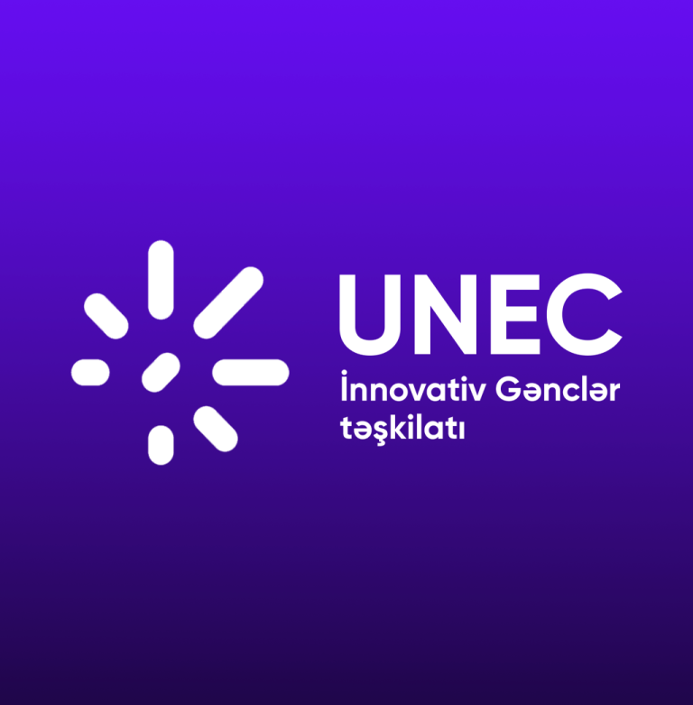İnnovativ Gənclər Təşkilatı: Yaranması, Missiyası