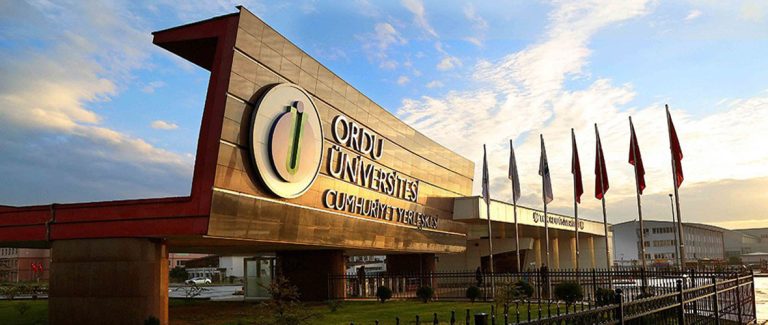 Ordu Universiteti : İmkanlar, Qəbul prosesi – ƏN SON