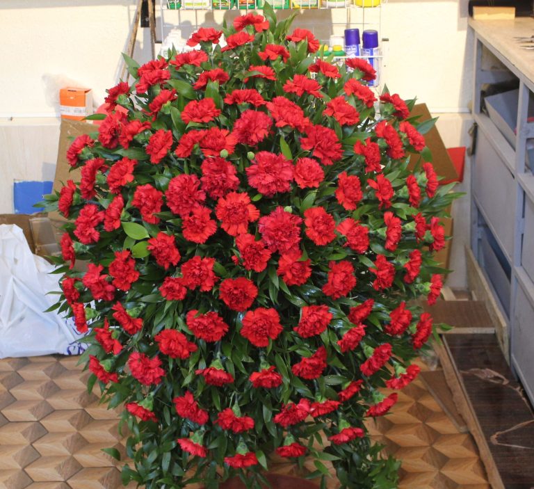 Əkil : Nədir? Tarixi, Mədəni mənası