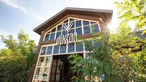 Dükkan Organic: Menyu, Təklif Olunan Məhsullar