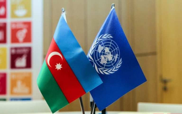 Birləşmiş Millətlər Təşkilatı: Diplomatiya, Prioritetlər
