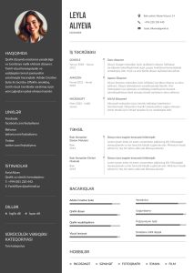 CVYARAT.AZ: Platformanın Yaranması, Missiyası