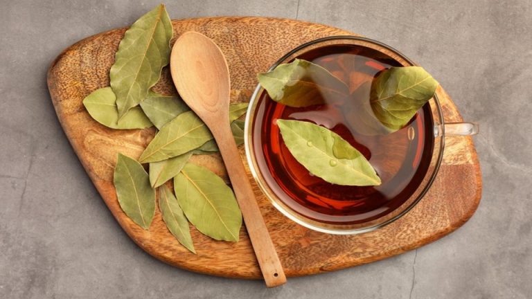 Dəfnə Yarpağı: İstifadə Sahələri, Ekoloji Qanunlar