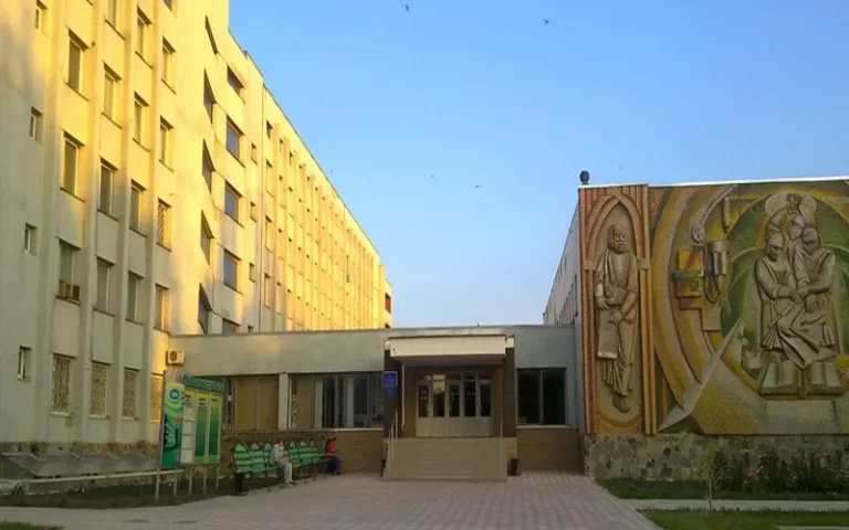 Luqansk Dövlət Tibb Universiteti: Tədris Proqramları, Akademik Struktur