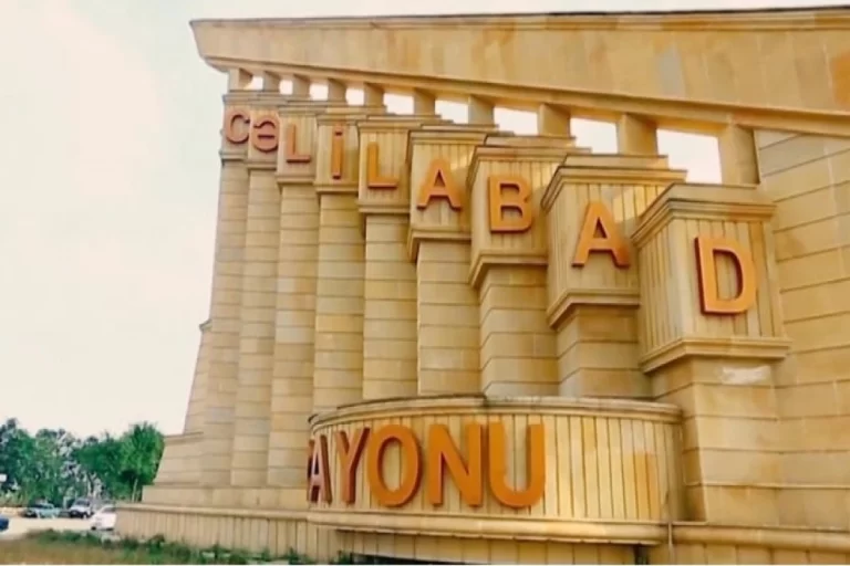 Cəlilabad Rayonu : Coğrafi mövqeyi, Kənd Təsərrüfatı sahələri