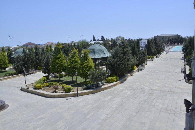 Dübəndi Yaşayış Sahəsi: Demoqrafik Göstəricilər, Sosial İnfrastruktur