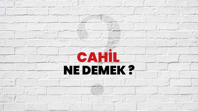 Cahil Anlayışı: Mənası, Təsiri