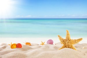 CBH.AZ : The Crescent Beach Hotel, Yerləşməsi