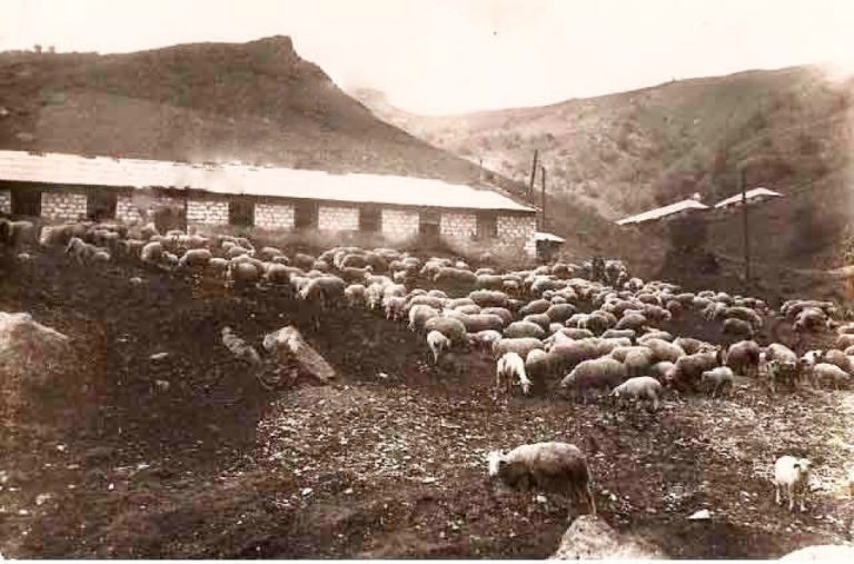 Cıvıxlı Kəndi : Tarixi Mövqeyi, Coğrafi Yerləşməsi