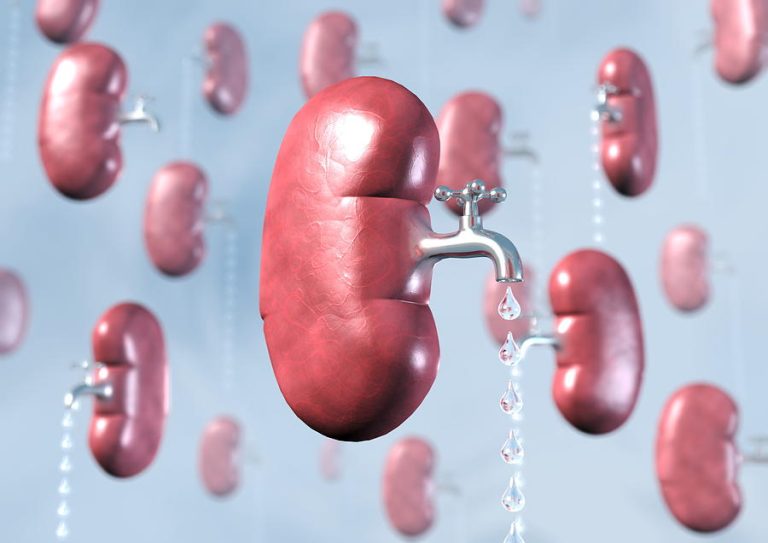 Diurez nədir? Mahiyyəti, Fizioloji əsasları