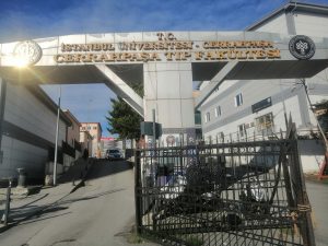 Türkiyədə Pulsuz Tibb Təhsili: İmkanları, Şərtləri