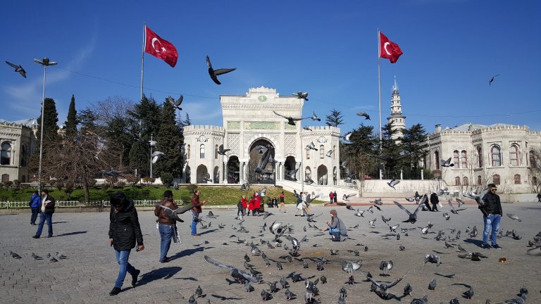 Türkiyə Azərbaycanlı Tələbələr: Statistikası, İxtisas Seçimləri