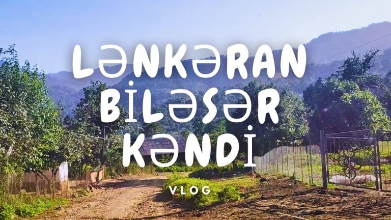 Biləsər Kəndi: Coğrafi Mövqe, İqlim Şəraiti