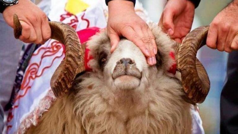 Deyilmə Qurban : Dini Əsaslar, Sosial rolu, Kəsilməsi