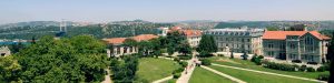 Türkiyənin Dövlət Universitetləri: Akademik Struktur, Fakültə Tipologiyası
