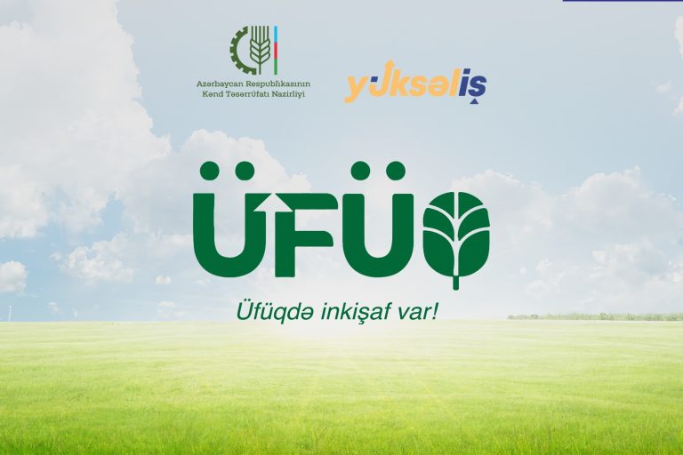 Üfüq Karyera Müsabiqəsi: İştirak Şərtləri, Mərhələlər