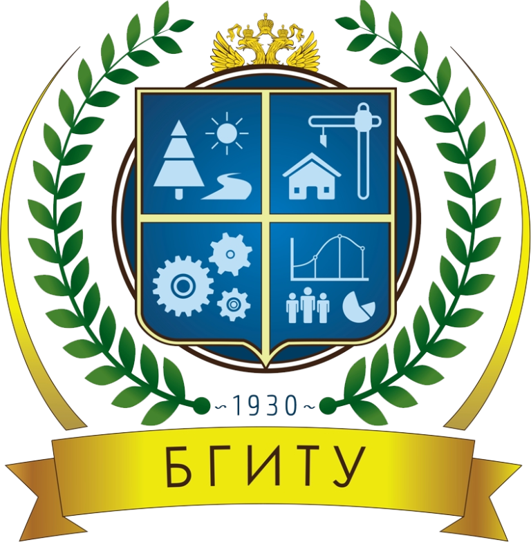 Bryansk Dövlət Mühəndislik Texniki Universiteti: Təqaüd, Maliyyə Dəstəyi