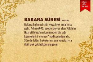 Bəqərə Surəsi: Mövzu Əhatəsi, Təqva Məsələləri