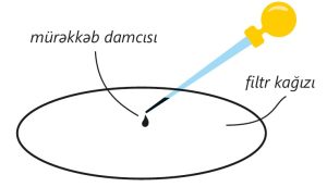 Xromatoqrafiya: Tarixi, İnkişafı