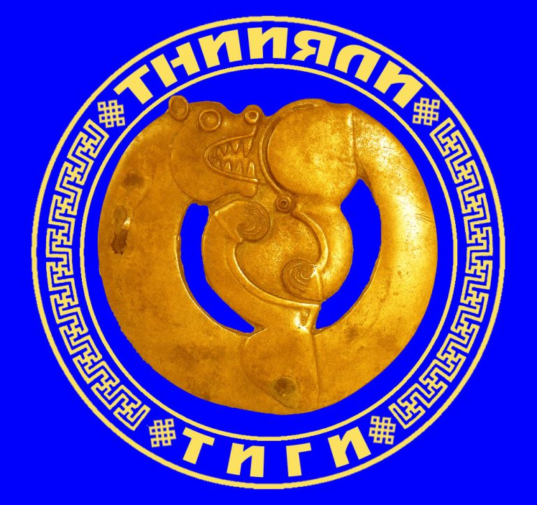 Tuvan Humanitar Tədqiqatlar İnstitutu: Təhsil Haqları, İxtisaslar