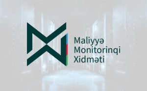 Maliyyə Monitorinqi Xidməti : Funksiyaları, Fəaliyyət sahələri